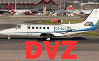 DVZ