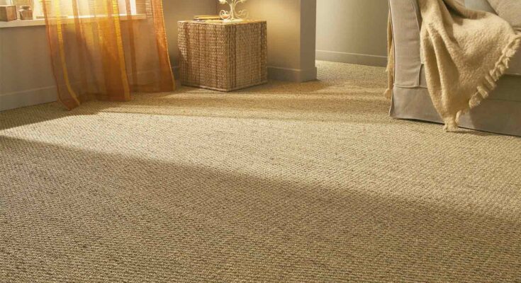 Sisal Carpets Pet-Friendly